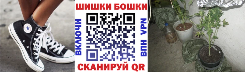 Шишки марихуана OG Kush Кочубеевское